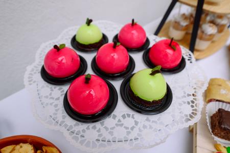 otvoritev grad Podsreda, 26.3.2025_Izidor Kotnik (125)